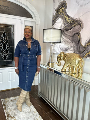 In Control Denim Dress