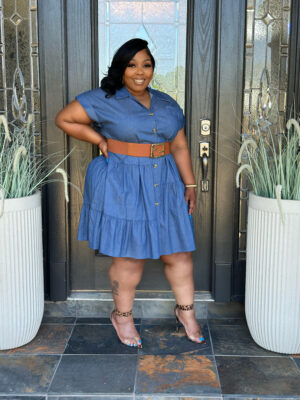 Jazmine Denim Dress