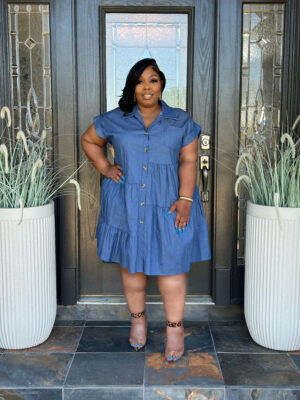 Jazmine Denim Dress